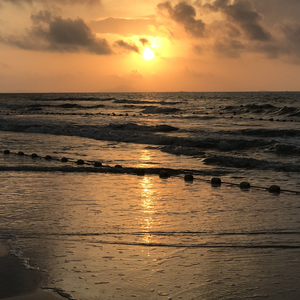 客厅ying乱亲女h小婷y
